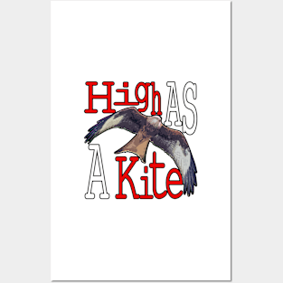 High as a Kite Posters and Art
